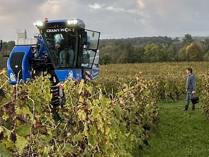 Vendanges machine