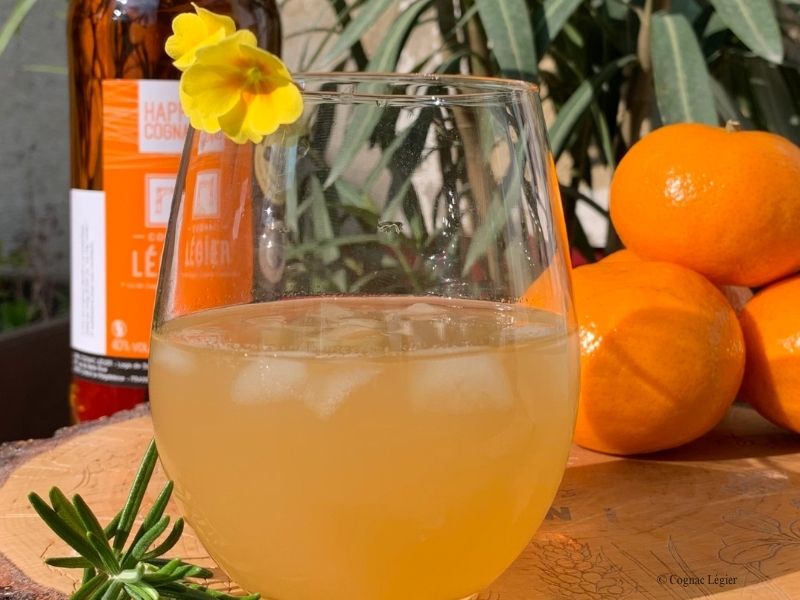 Happy Cognac Fizz