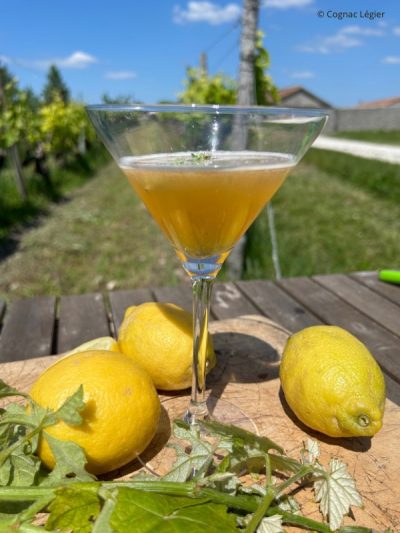 Logis de barbe cocktail Logis de barbe cocktail