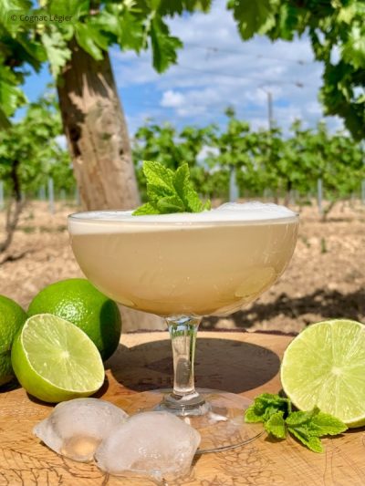 Mint Oaked Mint Oaked